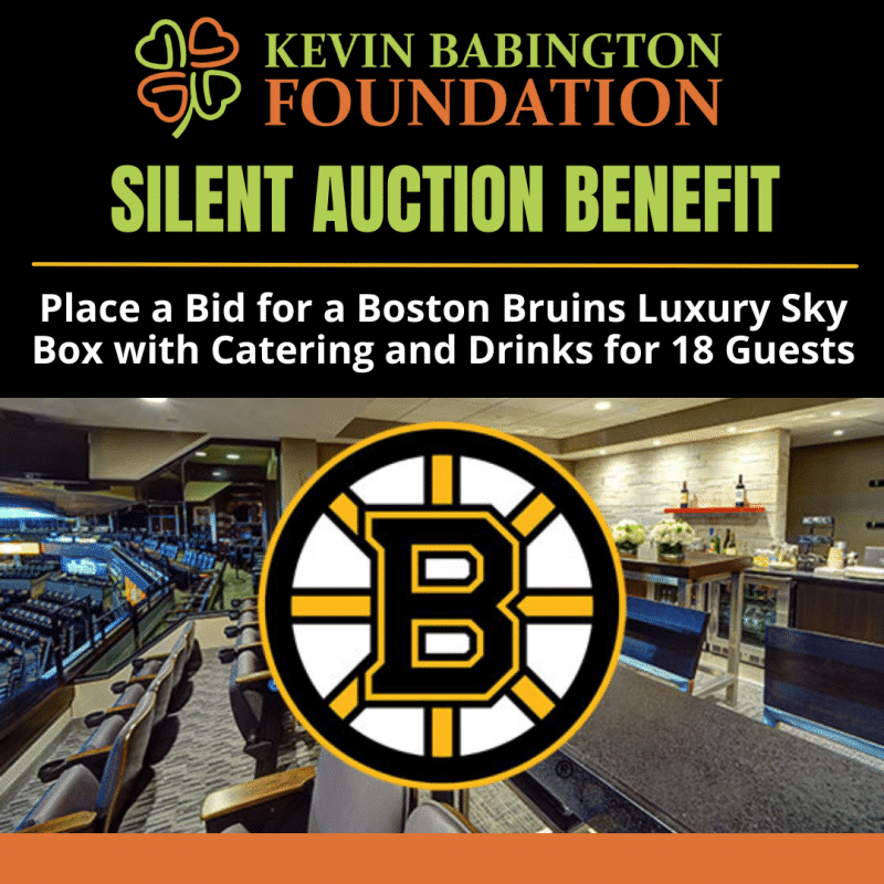 Place a Bid for a Boston Bruins Luxury Sky Box with Catering and Drinks for 18 Guests