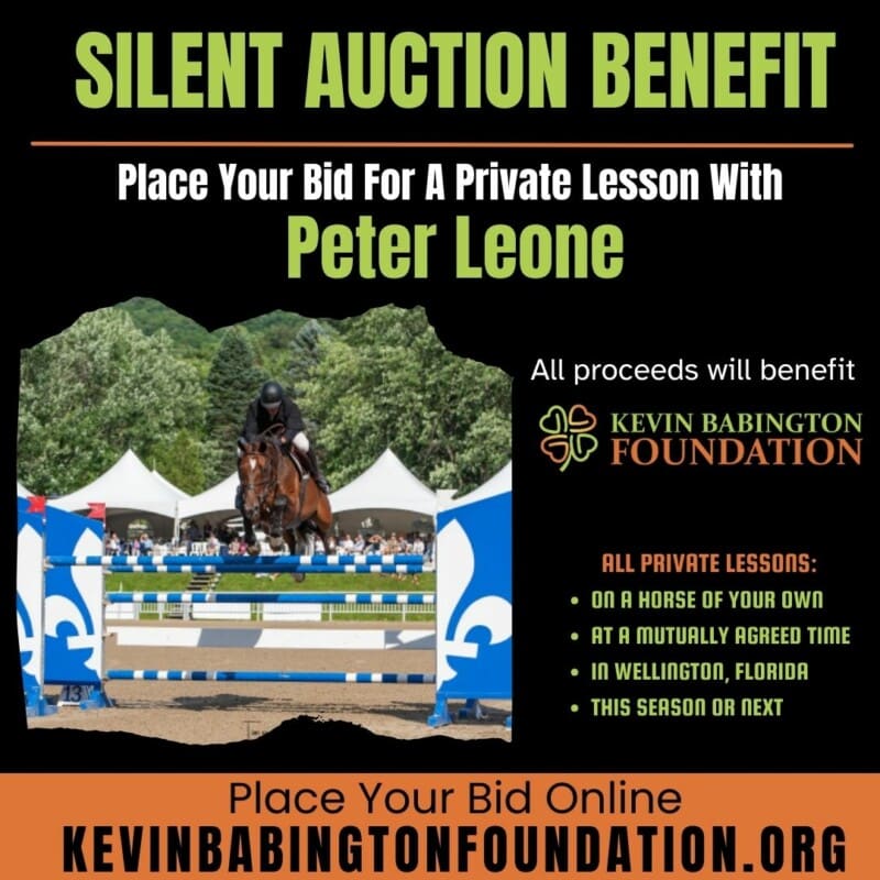 Silent auction bid for private lesson with Peter Leone