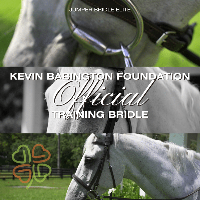 How A Bridle Partnership Helps Riders Spend Less Time Adjusting and More Time Riding
