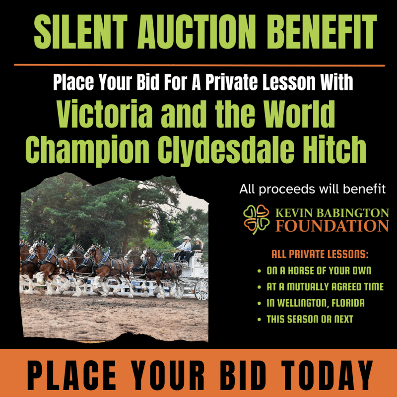 Place Your Bid For A Private Lesson With Victoria McCullough and the World Famous Clydesdales