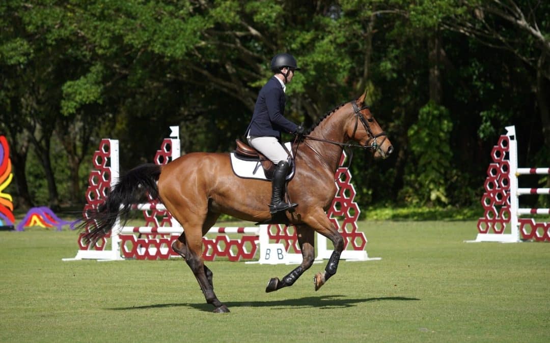 One Class, One Community, One Cause: Entries Open for the MIDA Babington Benefit Classic