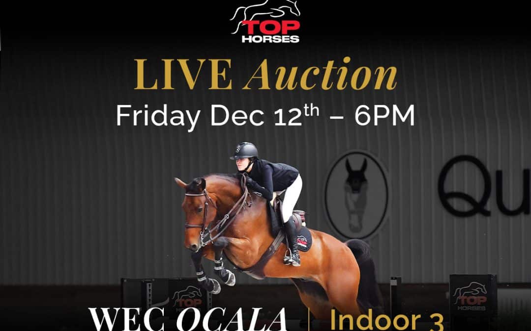 A SPECIAL EVENT TO SUPPORT KBF AT THE TOP HORSE AUCTION