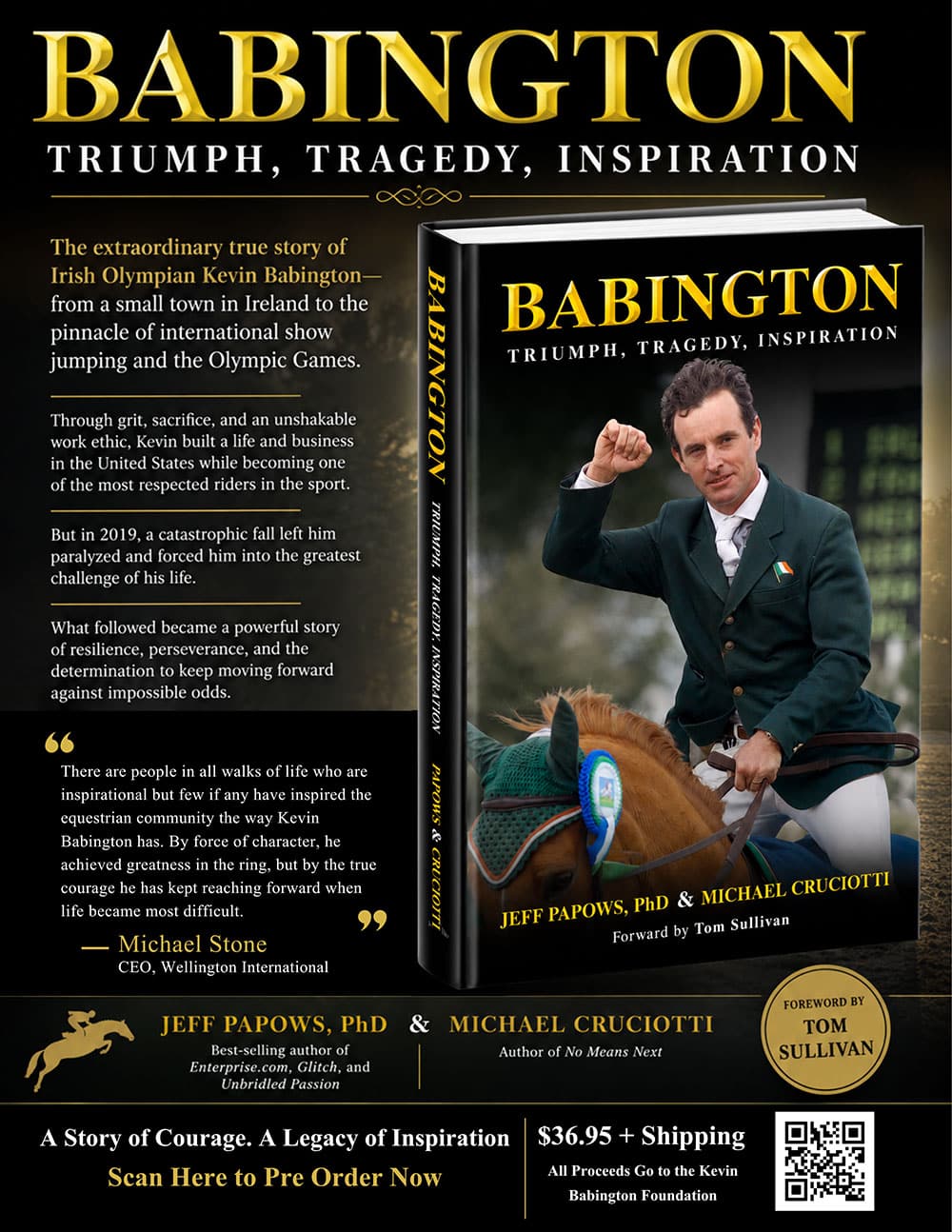 Babington Book Cover